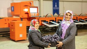 Üreticiye milyarlık destek