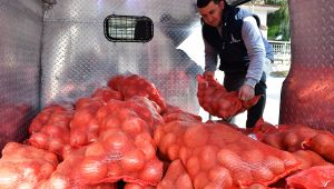 İzmir dayanışması