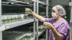 İzmirli çiçek üreticileri çağ atlayacak