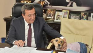 Batur Can dostlara söz verdi