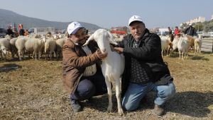 İzmir'de üreticinin yüzü gülüyor