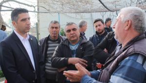 Kayalar'dan Menderes kart müjdesi!