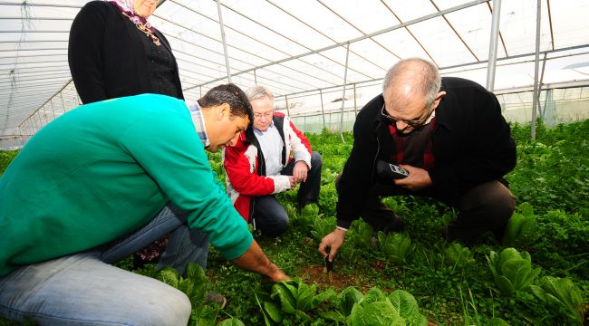 "Organik" tarıma "orijinal" destek