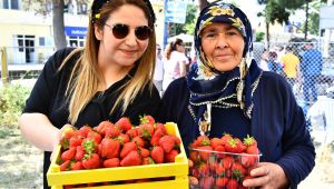 Çileği ile ünlü Emiralem'de festival coşkusu yaşandı