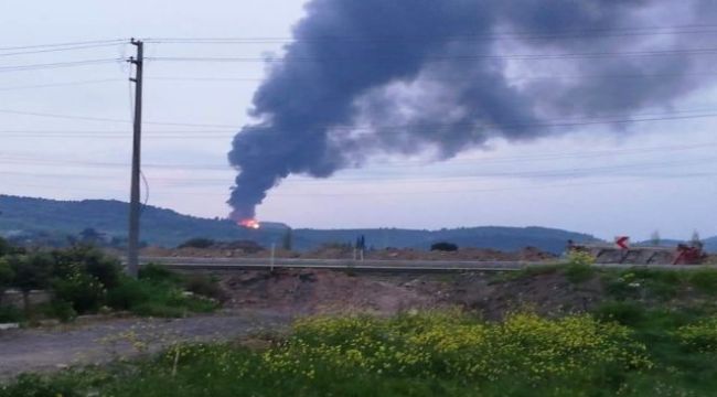 Polat, Ilıpınar'daki Yangını Meclis'e Taşıdı