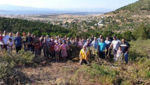 Aliağa'da Mahallede ağaç kesimine tepki