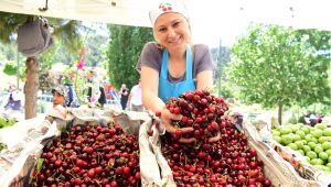 Bornova, Kiraz Festivalinde buluşacak