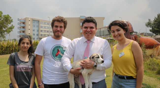 Buca'da masum canlara sıcak yuva