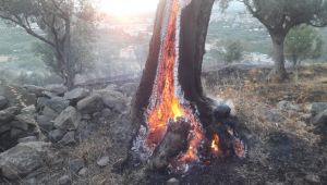 İzmir'de korkutan yangın!