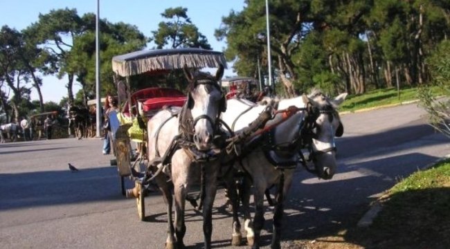 İzmir'in o ilçesinde faytonların kullanımı yasaklandı