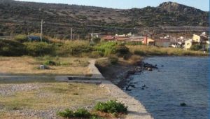 İzmir Valiliği'nden Urla ve Seferihisar'daki barınaklara onay