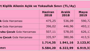 Türk-İş: Açlık sınırı 2 bin 67 lira, yoksulluk sınırı 6 bin 733 lira oldu