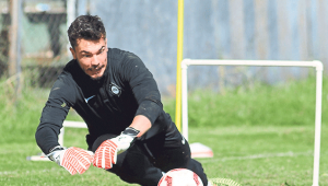 Altay hareketli