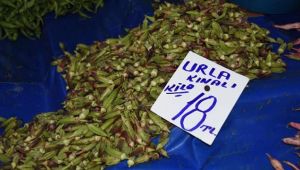 Bamyanın kilosu 18 lirayı gördü; pazarcılar, "Fiyatlar normal" dedi