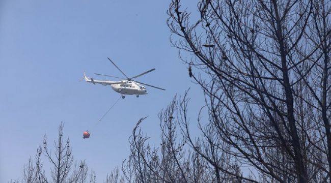 Başkan Kılıç İzmir'in akciğerleri için çağrıda bulundu