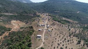 Buca'da fırsatçılar 40 dönüm araziyi talan etti