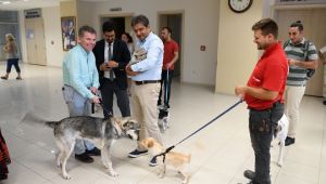 Çiğli Belediyesi'nden örneği görülmemiş proje