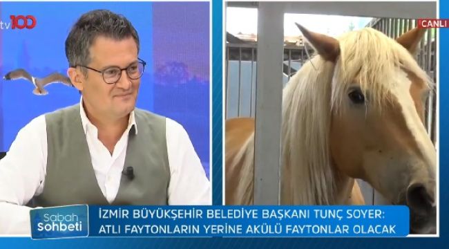 Soyer canlı yayında açıkladı..."Faytoncular işsiz kalmayacak"