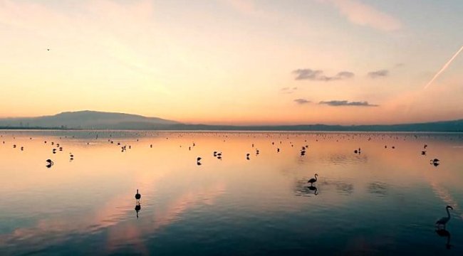 Gediz Deltası'ndan UNESCO'ya çağrı: Nesli tükenecek canlılar mirasımız, korumalıyız
