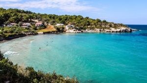İzmir'in plajlarına tam not!