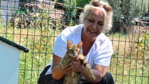 Torbalı'dan hayvanseverleri mutlu edecek haber
