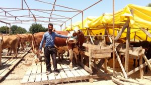  Üreticinin İzmir'de "yeri" yok!