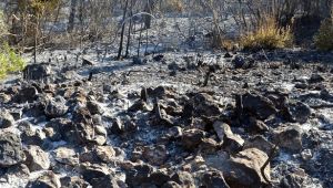 Başkan Oğuz'dan felaket sonrası açıklama... "Bu bölgeleri tekrardan canlandıracağız