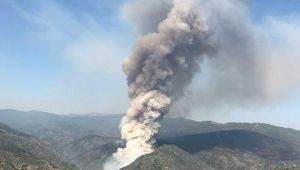 Bayındır'daki yangın hakkında görgü tanıkları dinlendi... 15 hektar piknik ateşinden yanmış olabilir!