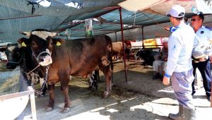 Bayraklı'da Kurban Bayramı öncesi tedbirler en üst seviyeye getirildi
