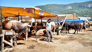 Bornova Belediyesi "huzurlu bayram" için aralıksız çalışacak