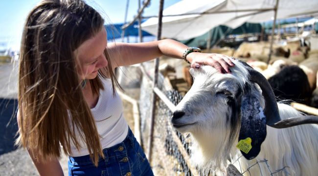 Bornova'da Bayram önlemleri tamam