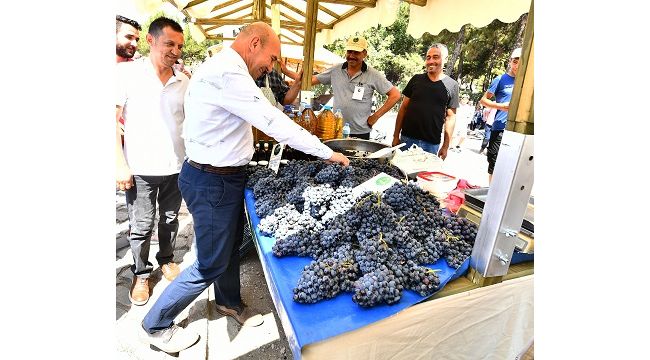 Büyükşehir Belediyesi "Süt Kuzusu" projesini büyütüyor