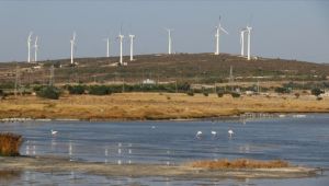 Çeşme doğa turizmine hazırlanıyor