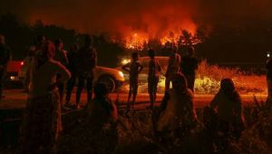 CHP'li Mahmut Tanal'dan İzmir'deki yangına ilişkin çarpıcı iddia... Altın madeni olduğu gözüküyor!