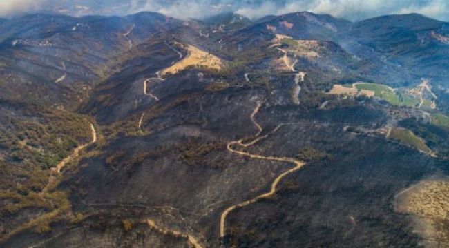 CHP’li Polat'tan Bakan Pakdemirli'ye; 'Aylar önce uyardık!'