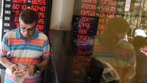 Döviz alımı 10 ayda 27.5 milyar dolar arttı