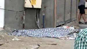 Eski hükümlü, sokak ortasında akrabasını orakla öldürdü