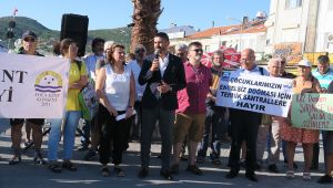 Foça, doğa katliamlarına sessiz kalmadı!