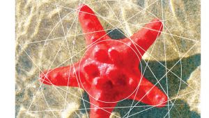 "Herkes İçin Matematik" tırı Bornova'ya geliyor