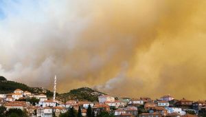 İhmaller zinciri İzmir'in ormanlarını yaktı... CHP'li Bakan konu ile ilgili açıklamalarda bulundu!