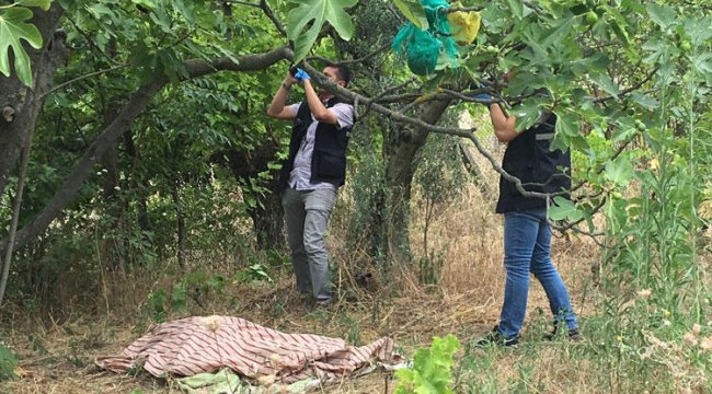 İncir ağacında korkunç ölüm! Dalları arasına boynu sıkıştı...