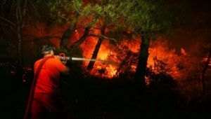İzmir'deki yangından sonra İzmir İl Jandarma Komutanlığı'ndan önemli karar!