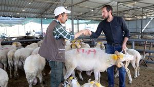 Karşıyaka'da bayram hazırlıkları tamamlandı