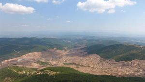 Kaz Dağları'ndaki ağaç katliamına Kanada'dan ilk tepki