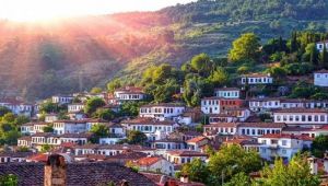 Kaz Dağları'ndaki katliamın ardından sıra Şirince Köyüne geldi... "Binlerce zeytin ağacı kesilecek!"
