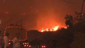 Marmara Adası’ndaki yangınla ilgili 1 kişi gözaltında