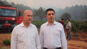 Vekil Bakan yangın bölgesinde konuştu... "İzmir’in çiçekler açan dağları cayır cayır yanıyor!”