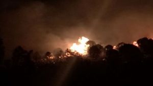 Bayraklı'da dün gece çıkan yangının şüphelilerini arama çalışması başlatıldı
