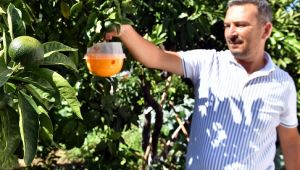 Büyükşehir Sığacıklı vatandaşların sorununu kimyasal kullanmandan çözecek