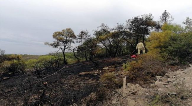 İzmir'de 17 noktada çıkan yangınlar kontrol altına alındı